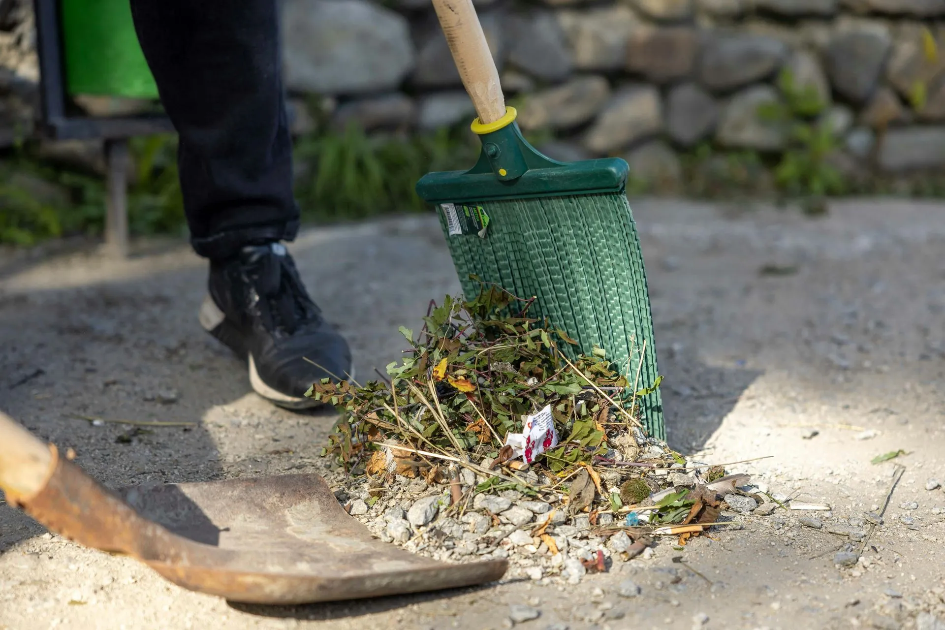 professional yard clean-up services Albany, OH 