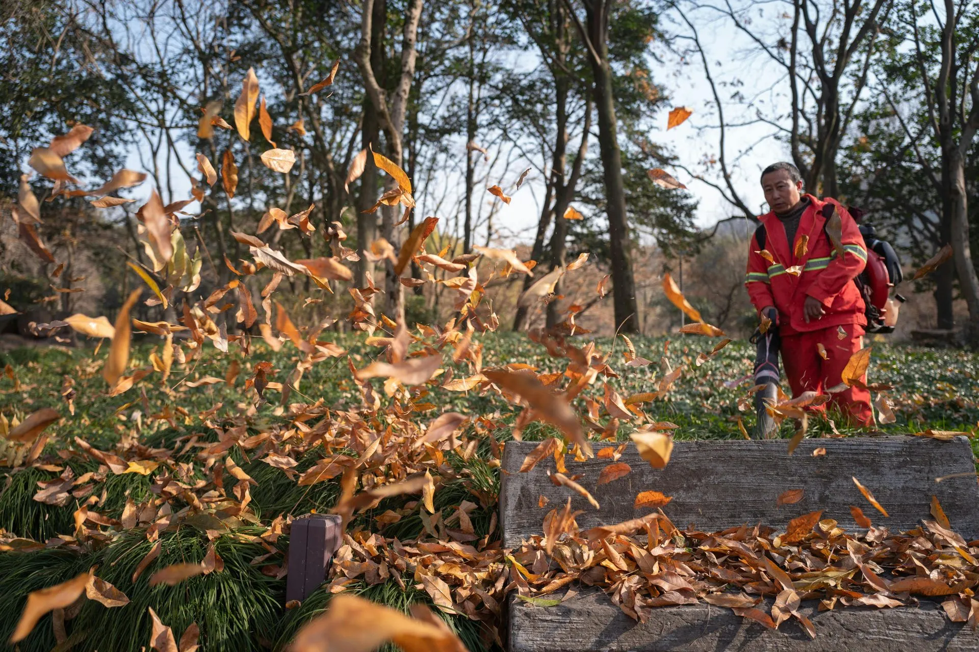 expert fall clean-up landscaping Albany, OH