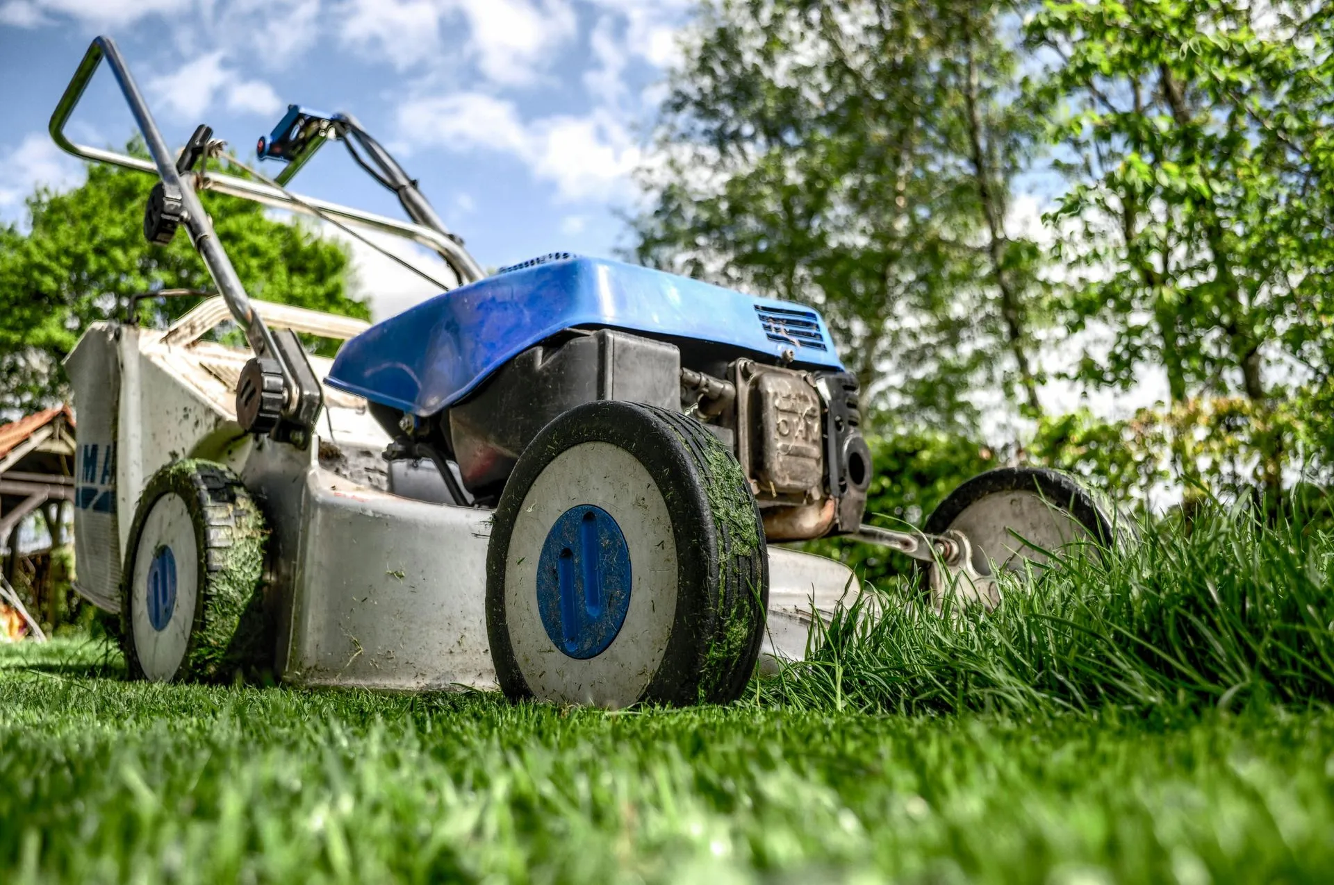 lawn mowing services