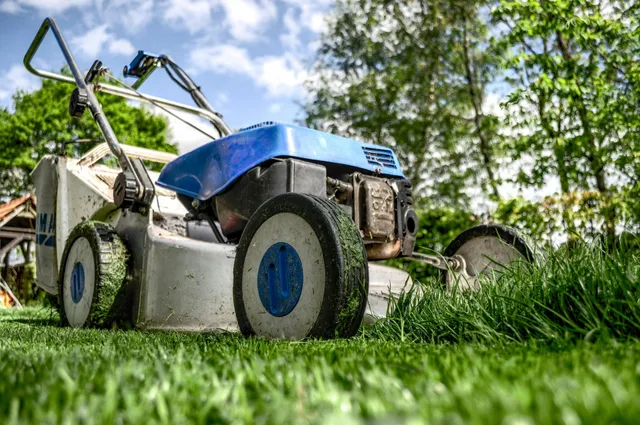 lawn mowing services