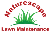fall yard clean-up services