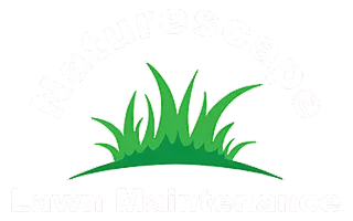 fall yard clean-up services