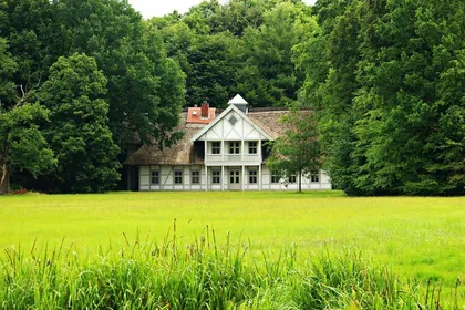 lawn care services