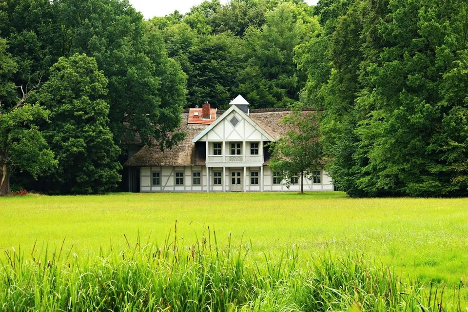 lawn care services