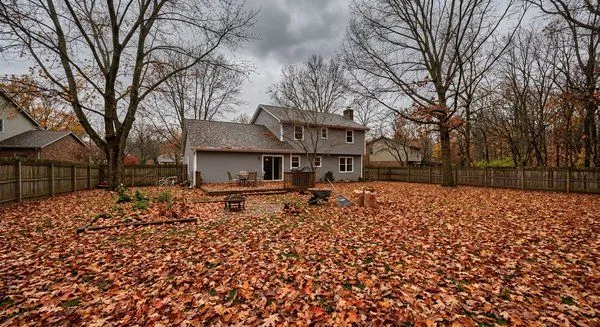 leaf removal services