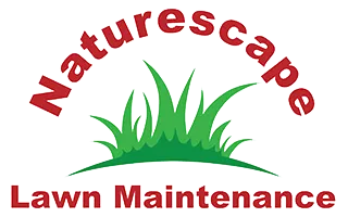 fall yard clean-up services