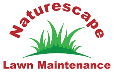 fall yard clean-up services