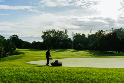 lawn maintenance services