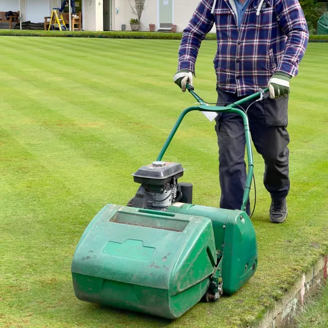 lawn mowing service