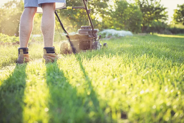 Reliable Lawn Care in Albany, OH