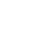 fall yard clean-up services