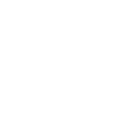 fall yard clean-up services